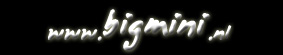 www.bigmini.nl